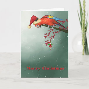 Christmas Parrot Holiday Card