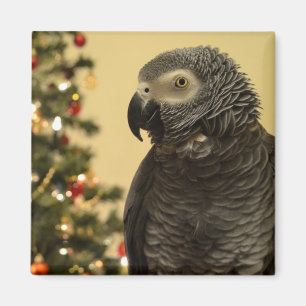 Christmas Parrot Magnet