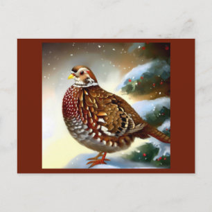 Christmas Partridge 1 Holiday Postcard
