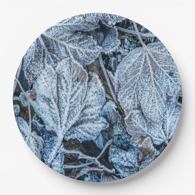 Christmas Party Blue Leaves Snow Holidays Winter Paper Plate (Front)
