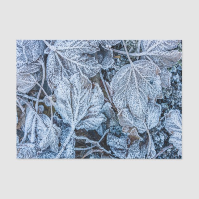 Christmas Party Blue Leaves Snow Holidays Winter Tissue Paper (Front)