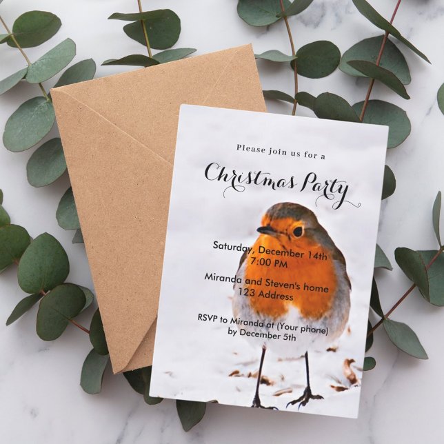 Christmas party robin bird snow invitation (Creator Uploaded)