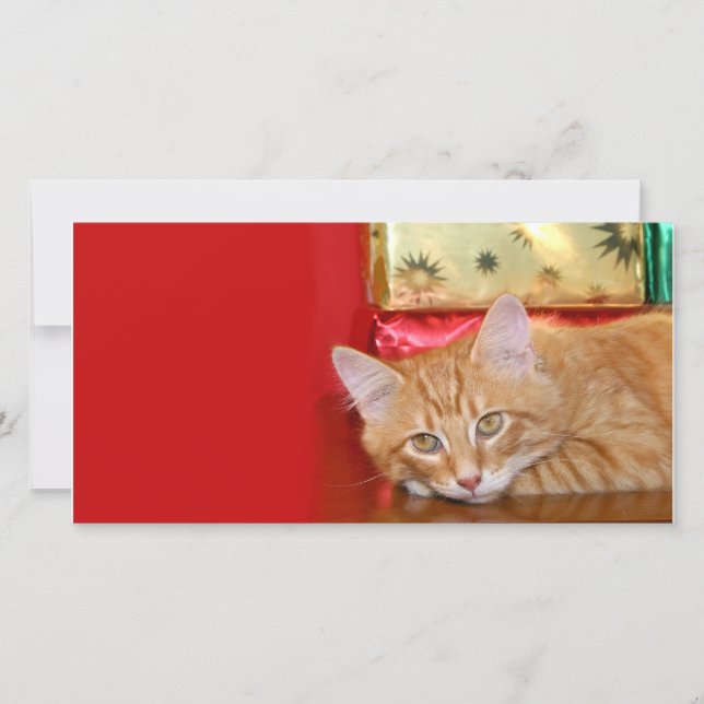 Christmas patience holiday card (Front)