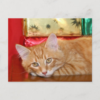 Christmas patience holiday postcard