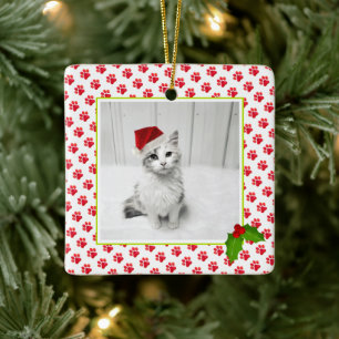 Christmas Paw Prints PET PHOTO Best Cat Ever NAME Ceramic Ornament
