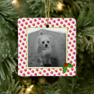 Christmas Paw Prints Pet Photo Best Dog Ever Name Ceramic Ornament