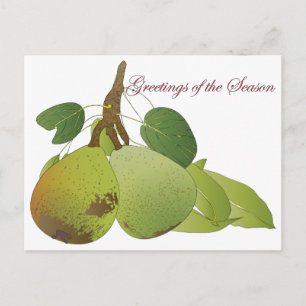 Christmas Pears Postcard