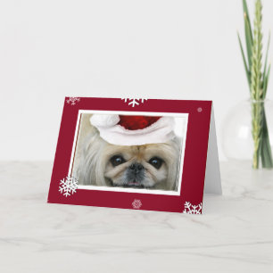 Christmas Pekingese greeting card