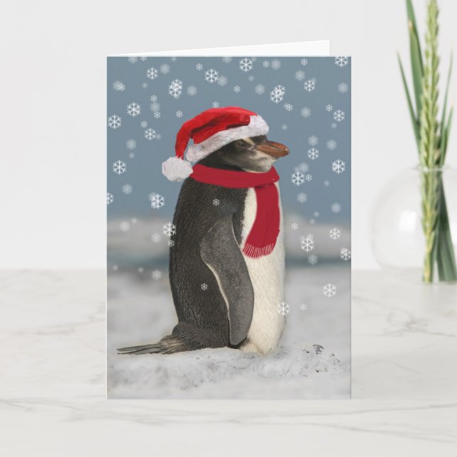 Christmas Penguin Holiday Card (Front)
