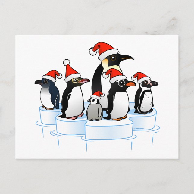 Christmas Penguin Party Holiday Postcard (Front)