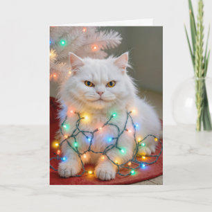Christmas Persian Cat Tangled in Holiday Lights Card