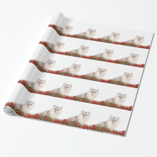 Christmas persian cat wrapping paper