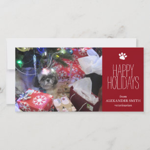 Christmas Pet  8" x 4" Photo Card