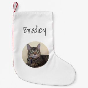 Christmas Pet Cat Photo Simple Typography  Small Christmas Stocking