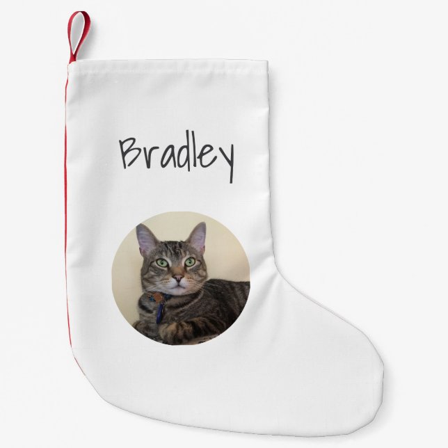 Christmas Pet Cat Photo Simple Typography  Small Christmas Stocking (Front)