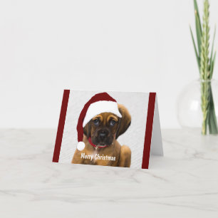 Christmas pet photo custom personalised stylish    card