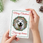 Christmas Pet Photo Wreath Holiday Card<br><div class="desc">Send holiday greetings and joy to your family and friends with this Christmas photo design featuring a watercoloured green and red holly wreath frame. Your fur baby’s picture is accented by Christmas colours, with red wording. Change the “From My Human” area with your name, your pets name or the year....</div>