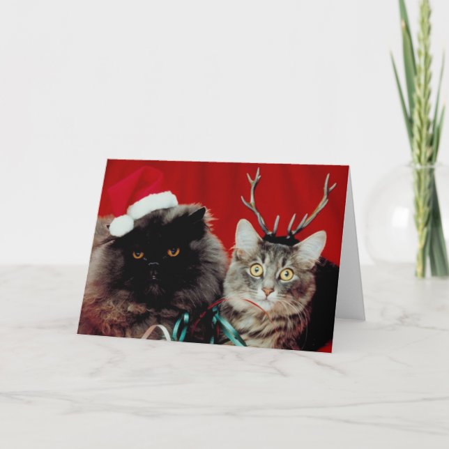 Christmas Pets Holiday Card (Front)