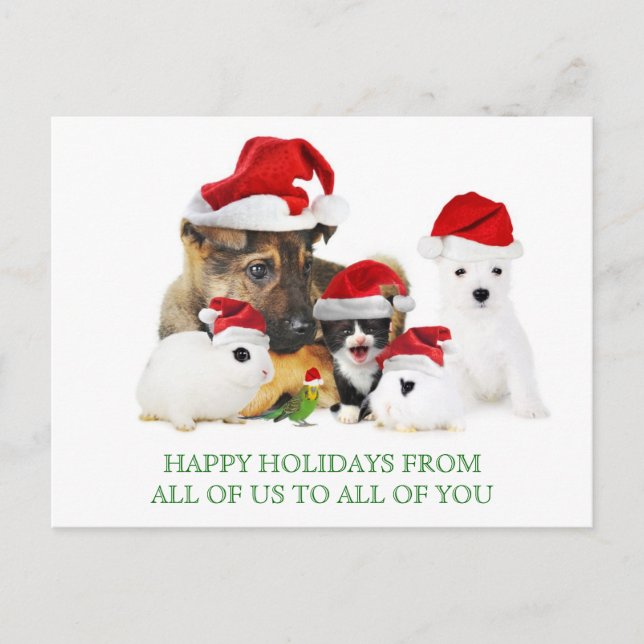 Christmas Pets Postcard (Front)
