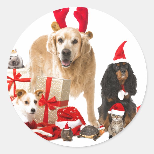 CHRISTMAS PETS STICKER (Front)