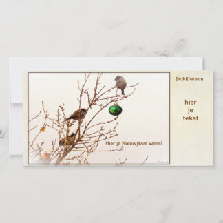Christmas - Photo Card - Business Card - Christmas
