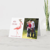 Christmas photo card funny Rudolph flamingo