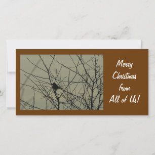 Christmas Photo Card:  Little Bird Holiday Card