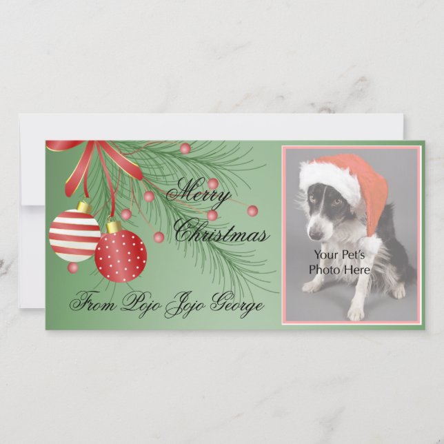 Christmas Photo Cards for your pets! (Front)