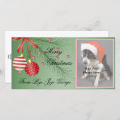 Christmas Photo Cards for your pets! (Front/Back)