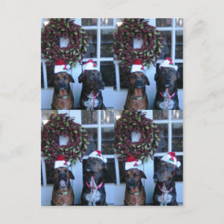 christmas pic for students holiday postcard
