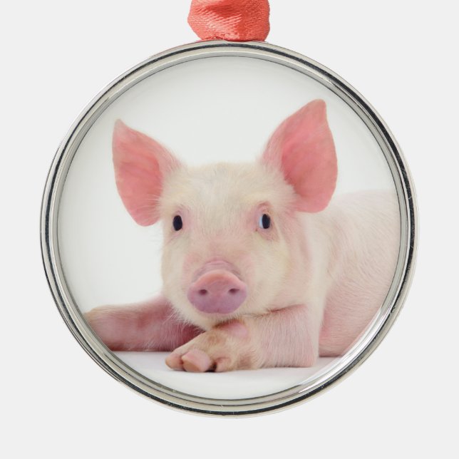 "CHRISTMAS PIGGY" CHRISTMAS ORNAMENT (Front)