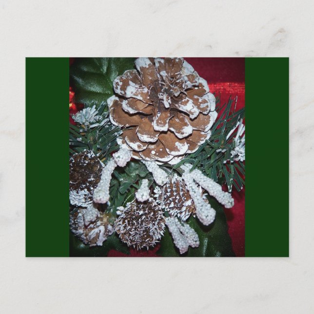 christmas pine cone holiday postcard (Front)
