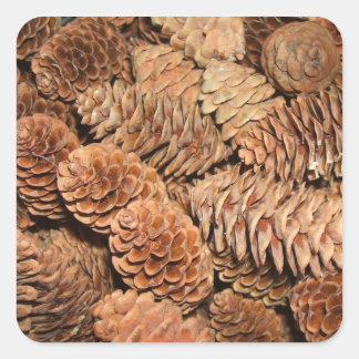 Christmas Pine Cones Square Sticker