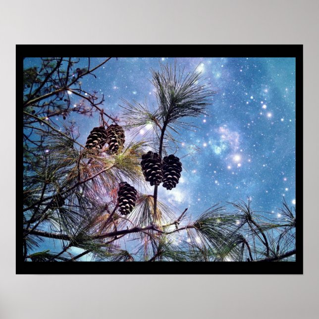 Christmas Pine cones under a starry night sky Poster (Front)