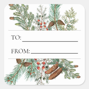Christmas Pine Conifer Forest Festive Evergreen  Square Sticker