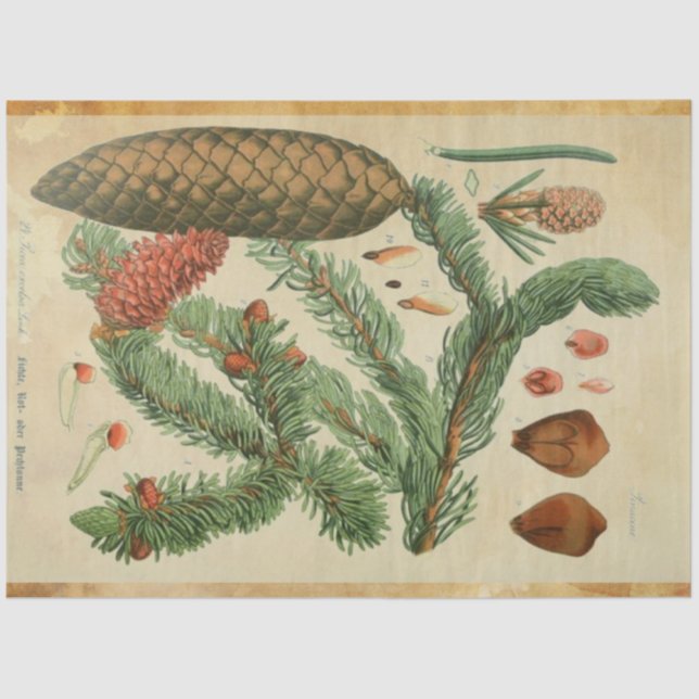 Christmas Pine Decoupage Paper (Front)