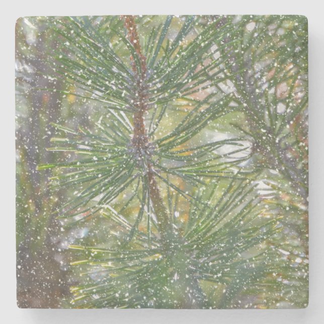 Christmas Pine Tree Snow Nature Art Winter Coaster (Front)