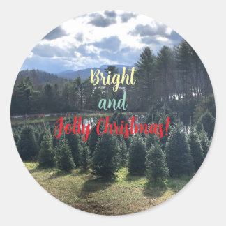 Christmas Pine Trees Stickers
