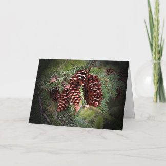 Christmas Pinecone Arrangement Holiday Card
