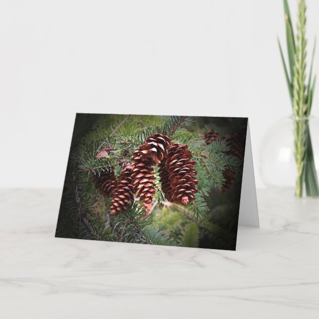 Christmas Pinecone Arrangement Holiday Card (Front)