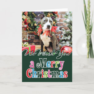 Christmas - Pitbull - Charm Holiday Card