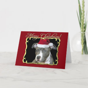 Christmas pitbull dog holiday card