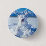 Christmas Pitbull Dog Snowman 3 Cm Round Badge<br><div class="desc">Pictured is a cute pit bull puppy dog covered in snow,  looking like a snowman doggie. "Snowy greetings from our 'Pitt-snow-bull'! Wishing you a pawsitively frosty and fun Christmas!" Perfect give for the pitbull puppy dog lover,  owner,  or rescuer.</div>