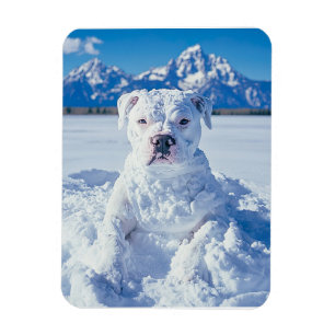 Christmas Pitbull Dog Snowman Magnet