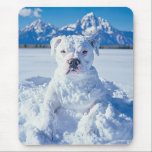 Christmas Pitbull Dog Snowman Mouse Mat<br><div class="desc">Pictured is a cute pit bull puppy dog covered in snow,  looking like a snowman doggie. "Snowy greetings from our 'Pitt-snow-bull'! Wishing you a pawsitively frosty and fun Christmas!" Perfect give for the pitbull puppy dog lover,  owner,  or rescuer.</div>