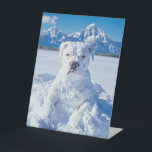 Christmas Pitbull Dog Snowman Pedestal Sign<br><div class="desc">Pictured is a cute pit bull puppy dog covered in snow,  looking like a snowman doggie. "Snowy greetings from our 'Pitt-snow-bull'! Wishing you a pawsitively frosty and fun Christmas!" Perfect give for the pitbull puppy dog lover,  owner,  or rescuer.</div>