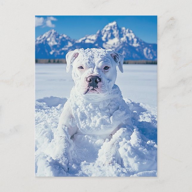 Christmas Pitbull Dog Snowman Postcard (Front)