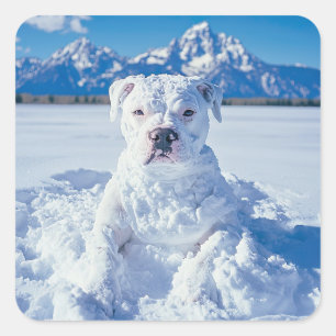 Christmas Pitbull Dog Snowman Square Sticker