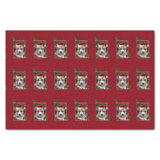 Christmas Pitbull dog tissue paper