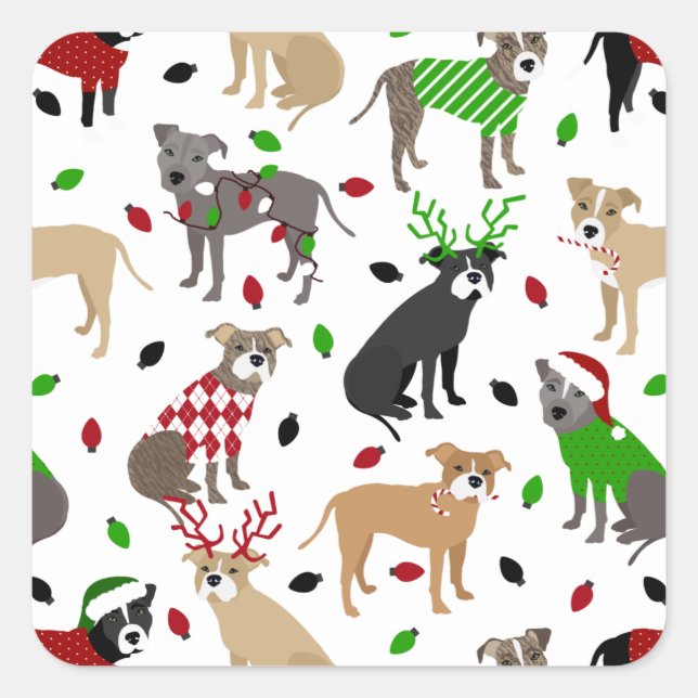 Christmas Pitbull Dogs Square Sticker (Front)